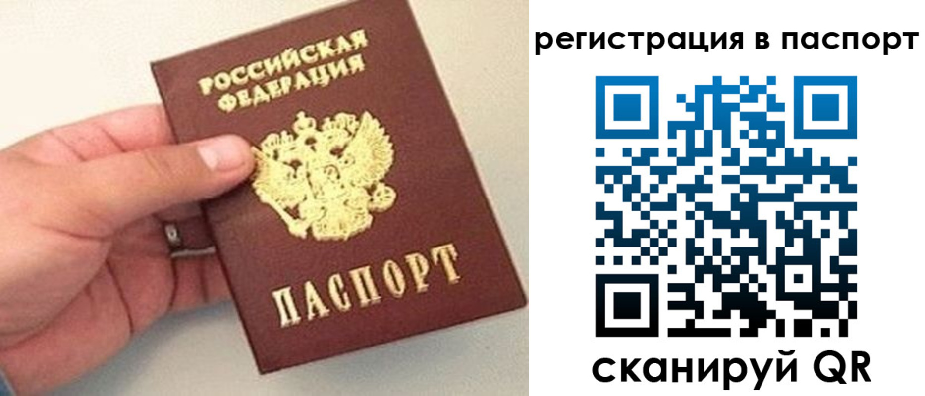 прописка законно в Ковдоре